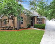 19 Long Springs Place, The Woodlands image