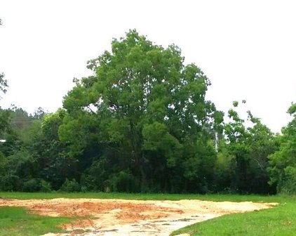 1121 Joaneen, Saraland