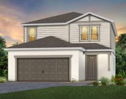 17294 Saw Palmetto Avenue, Clermont image