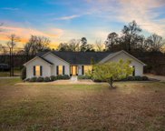 1097 Mountain Springs Road, Anderson image