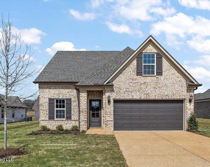 8647 Hayes Drive, Southaven