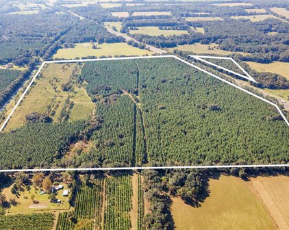 21400 Nw Cr 235a, Alachua
