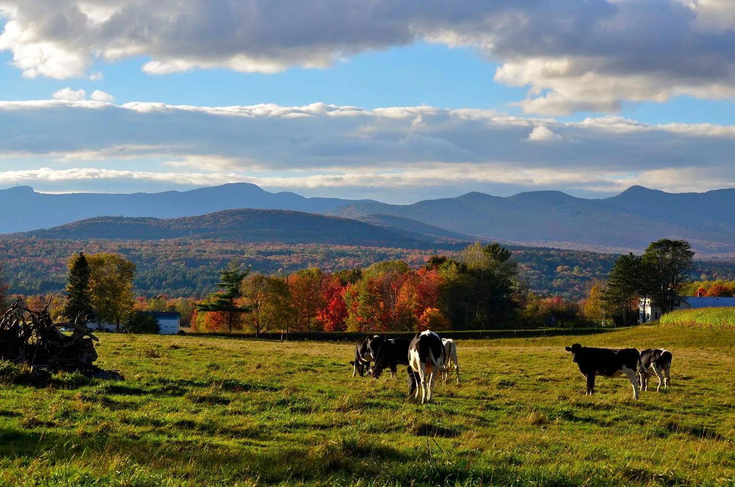 Enosburg VT Homes for Sale