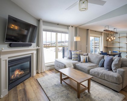 105 Elk Creek Unit 9, Fraser