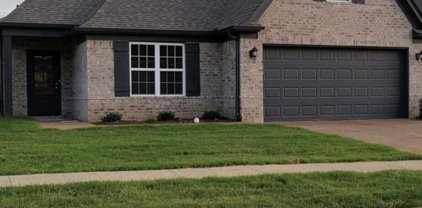 1235 Mcmillan Rd, Southaven
