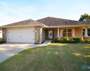 221 Harbor Glen Drive, Madison image