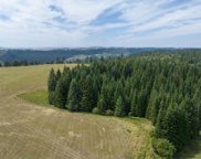 1605 Jasmine Ln, Parcel 12, Weippe image