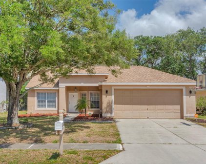 3030 Oakbrook Circle, Clearwater