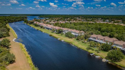 1642 Lago Vista Boulevard, Palm Harbor
