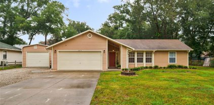 25715 Timuquana Drive, Sorrento