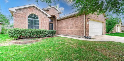 11711 Cypress Creek Forest Drive, Cypress