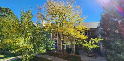 4005 S Dillon Way Unit 203, Aurora