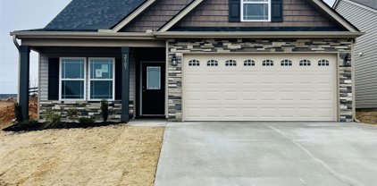 2107 Davenport Court, Moore