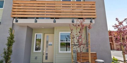 556 Somi, Hayward