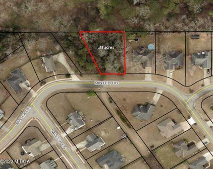 404 Minter Drive, Warner Robins