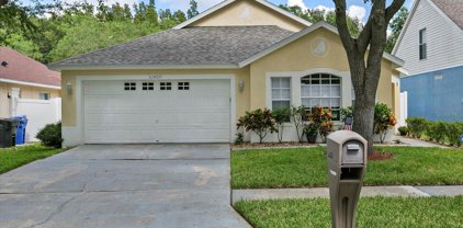 10908 Peppersong Drive, Riverview