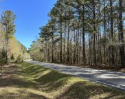 358 Virginia Oak Way, Bonneau image