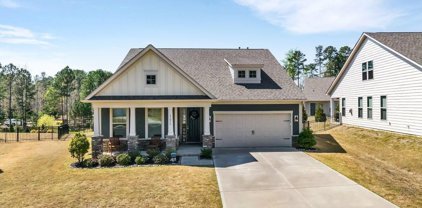 17036 Challory Glen  Way, Charlotte