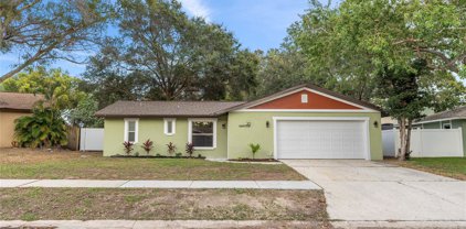 20 Durham Court, Palm Harbor