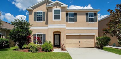 707 Fern Leaf Drive, Ruskin