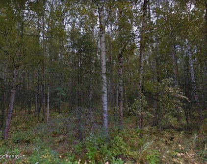 5211 W Lupine Lane, Wasilla