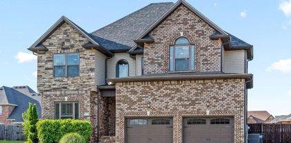 295 Castleton Ct, Clarksville