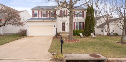 9836 Rainleaf Ct, Bristow
