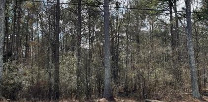 00 Turkey Creek Road, Newnan