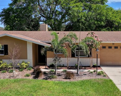 88 Talley Drive, Palm Harbor