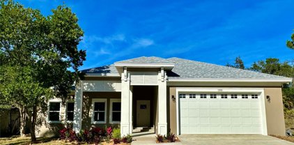1315 E Boyer Street, Tarpon Springs