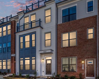 7446 Rocky Creek Ter, Annandale