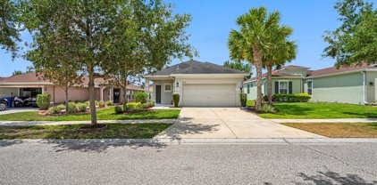 17414 New Cross Circle, Lithia