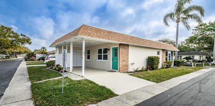 101 Sky Loch Drive W, Dunedin