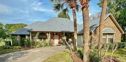 8521 Willow Wish Court, Orlando