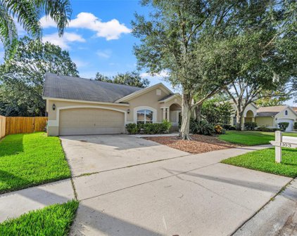 1103 Evening Trail Drive, Wesley Chapel
