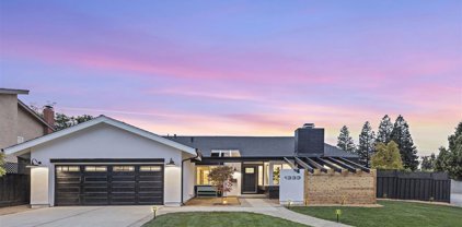 1333 Elsona Ct, Sunnyvale