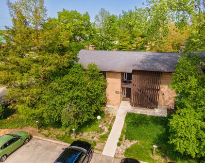 1605 Maple Terrace Unit #2A, Lisle