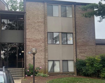 10136 Little Pond Pl Unit #4, Montgomery Village