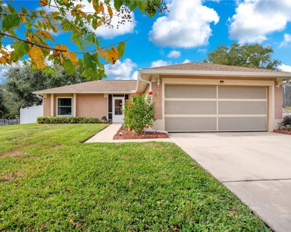 10653 Lake Ralph Dr, Clermont