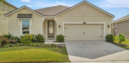 11557 Cedar Valley Drive, Riverview