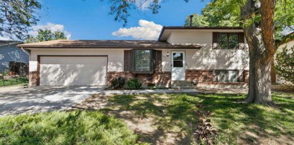 1065 Banyan Ct, Loveland