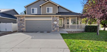 254 Sand Grouse Dr, Loveland