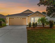 19406 Sunset Bay Drive, Land O' Lakes image
