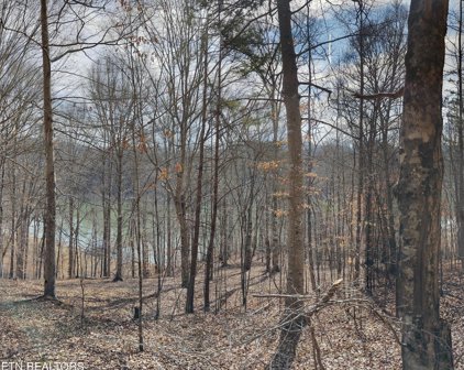 Lot 48&49 Mountain Shores Road, New Tazewell