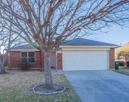 4825 Carrotwood Drive, Fort Worth image
