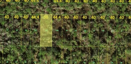 Lot 17 Inaccessible Road, Punta Gorda