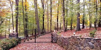 9112 Potomac Ridge Rd, Great Falls