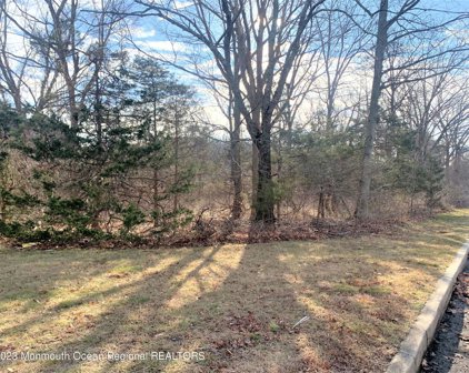 251 Drum Point Road, Brick