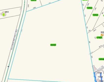Blossom Hill  Road Unit #PT 19, Lincolnton