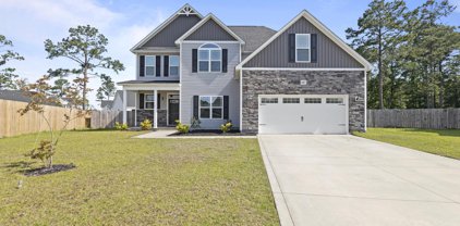 607 Coral Reef Court, Sneads Ferry